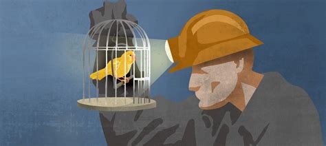 Canaries in the mine: How workplaces become toxic, inefficient and ...