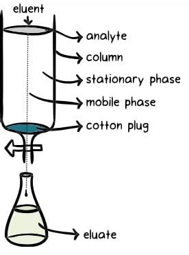 Buen sentimiento Víctor aventuras chromatography terms and definitions trama Sufijo enfermero