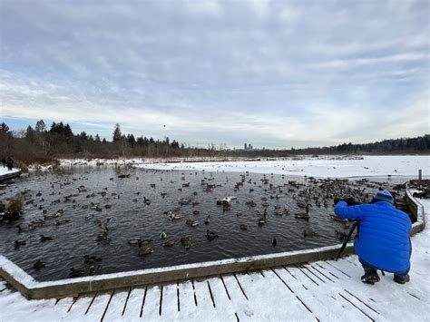 BURNABY LAKE REGIONAL NATURE PARK - Updated November 2024 - 109 Photos ...