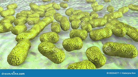 Bacterium Acinetobacter Baumannii Stock Illustration - Illustration of epidemic, biofilm: 85554271