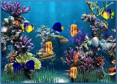 Aquarium desktop animated screensaver - Download free
