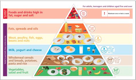 Mengenal Piramida Makanan Sehat, Panduan untuk Asupan Bergizi | merdeka.com