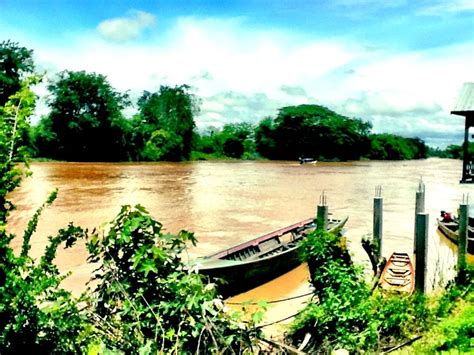 there is a boat that is sitting on the river bank next to some trees and bushes