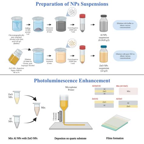 Graphical scheme of the experimental studies: colloid preparation (top)... | Download Scientific ...