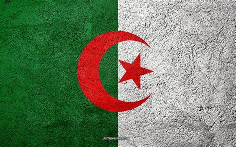 1920x1080px, 1080P free download | Flag of Algeria, concrete texture, stone background, Algeria ...