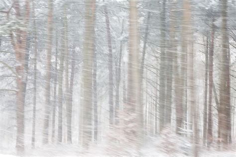 What Is a Snow Squall? - WorldAtlas