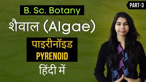 Algae in Hindi || पाइरीनॉइड (Pyrenoid) || Botany - YouTube