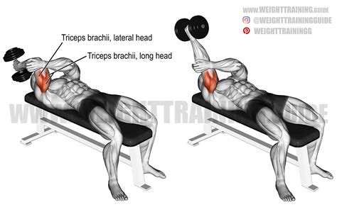 Lying one-arm dumbbell triceps extension - instructions and video