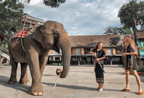 Đắk Lắk: A Guide to the Land of Coffee, Elephants, and Waterfalls - VIETNAM AMAZING