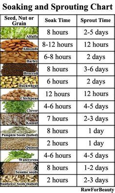 Soaking and Sprouting Chart Growing Vegetables, Microgreens Garden ...