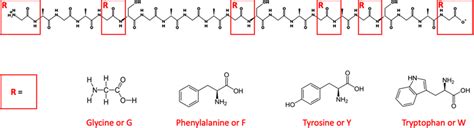 Schematics for chemical structure of peptide model and glycine to... | Download Scientific Diagram