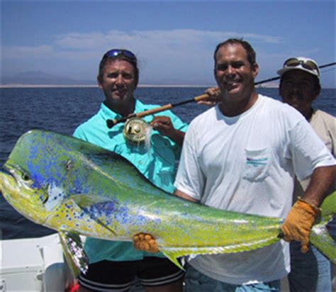 Cabo San Lucas Fishing Charters