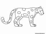 Rainforest Animals Coloring Pages sketch template