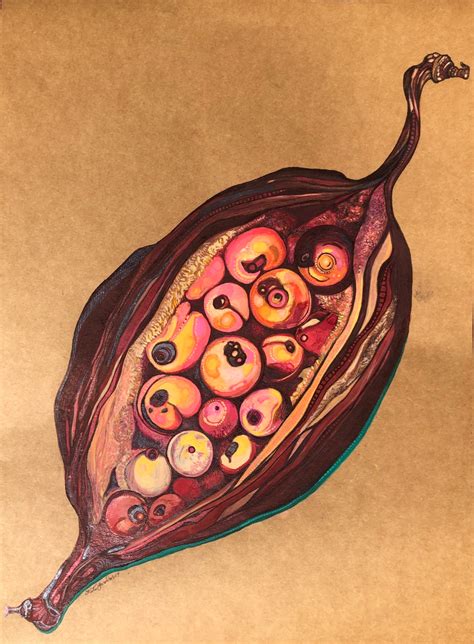 Seed Pod by Katie Sandison | Seed pods art, Natural form art, Seed pods