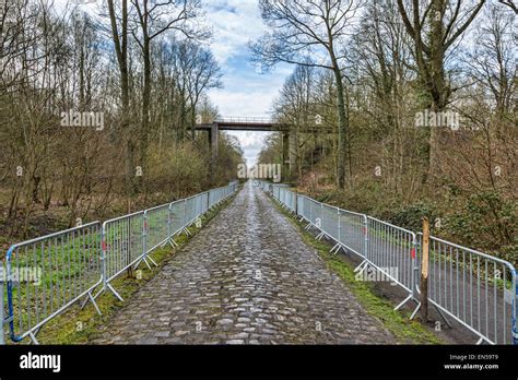 Image of the famous cobblestone road from the forest of Arenberg (Pave ...