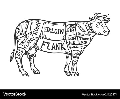 Meat diagram cow engraving Royalty Free Vector Image