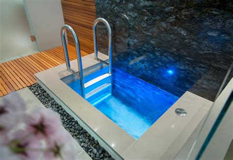 Indoor Cold Plunge Pool - Modern - Pool - Vancouver - by Alka Pool ...