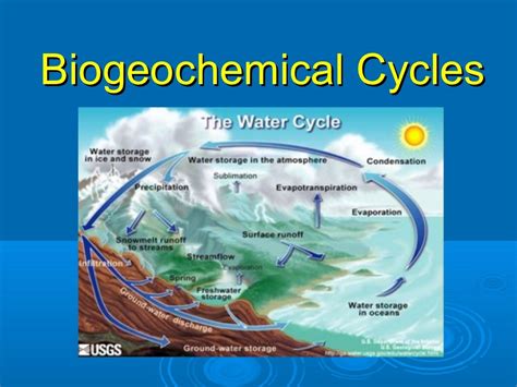 Biogeochemical cycles