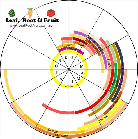 Ripening Chart for Fruit Tree Varieties - by Duncan Cocking