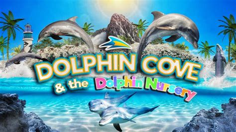 Zoo Tours: Dolphin Cove & Dolphin Nursery | SeaWorld Orlando - YouTube