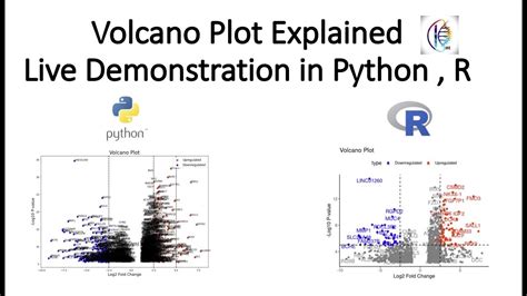 Volcano Plot Explained : Live Demonstration in Python , R - YouTube