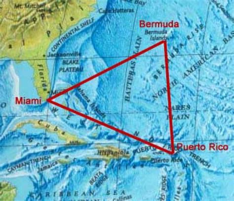 Bermuda Triangle- The Solved Mystery ~ Lexis Birds