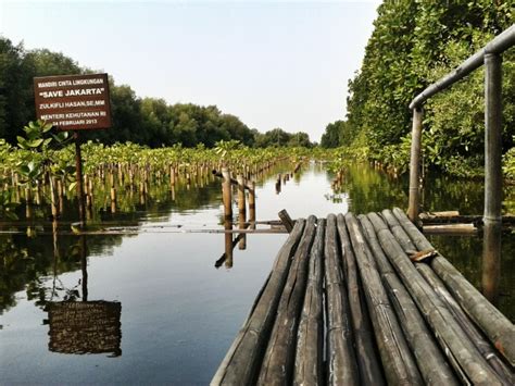 Beberapa Fakta Tentang Taman Wisata Alam Angke Kapuk | Males Mandi