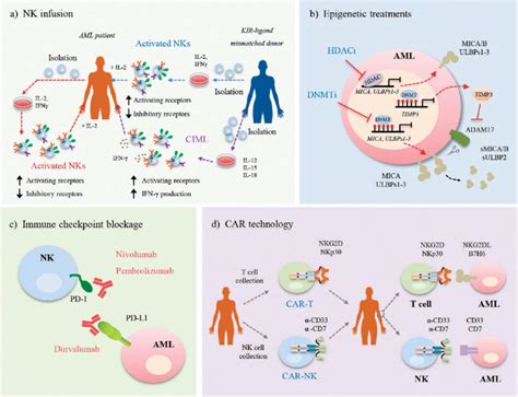 Enhancing AML recognition by immunotherapy techniques. Several ...