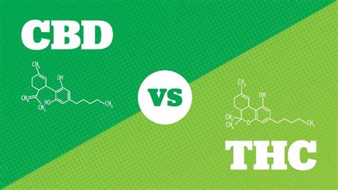 THC Synthesis with CBD : OrganicChemistry