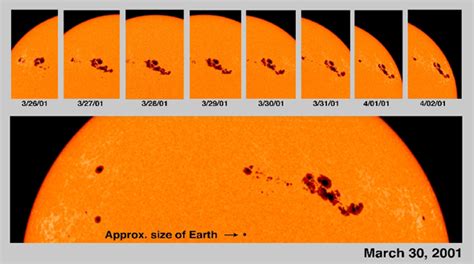 Orbit & Rotation of the Sun - Facts About the Sun Period of Revolution