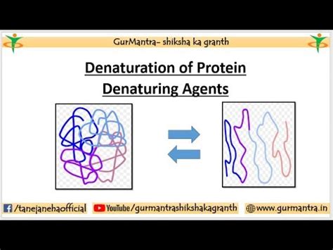 DENATURATION OF PROTEIN | DENATURING AGENTS| MECHANISM OF DENATURING AGENTS - YouTube