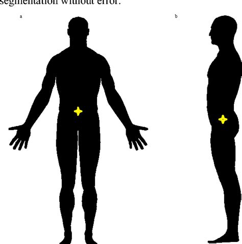 Real time estimation and tracking of human body Center of Mass using 2D video imaging | Semantic ...