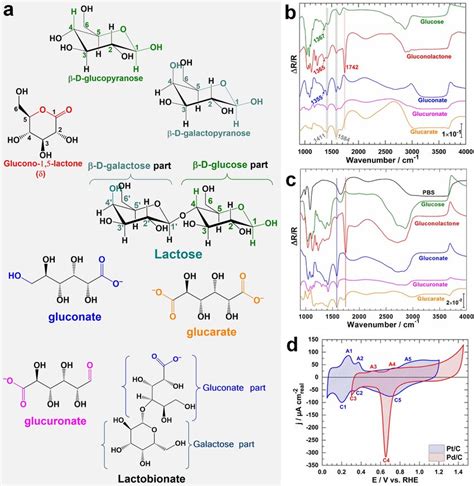 (a) Chemical structures of glucose, galactose, lactose and the possible ...