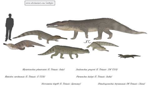 Explore the Best Phytosaur Art | DeviantArt