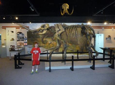 Museum of the Middle Appalachians (Saltville) - 2021 All You Need to Know BEFORE You Go (with ...