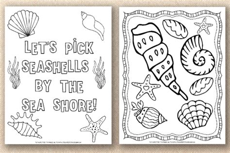 Seashell Coloring Pages - Life is Sweeter By Design