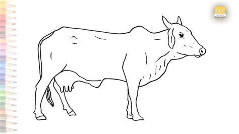 Cow Drawing Outline