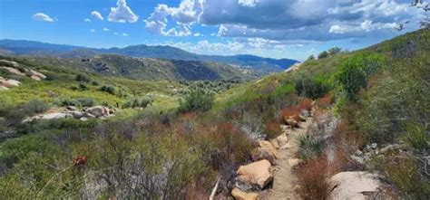 Best 10 Hiking Trails in Cuyamaca Rancho State Park | AllTrails