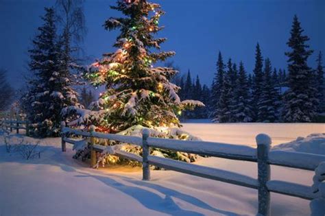 23 Absolutely Beautiful Pictures of Snow | Winter wonderland christmas ...