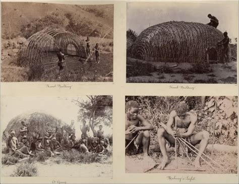 Construction of a Zulu Hut. | African architecture, Zulu, Hut