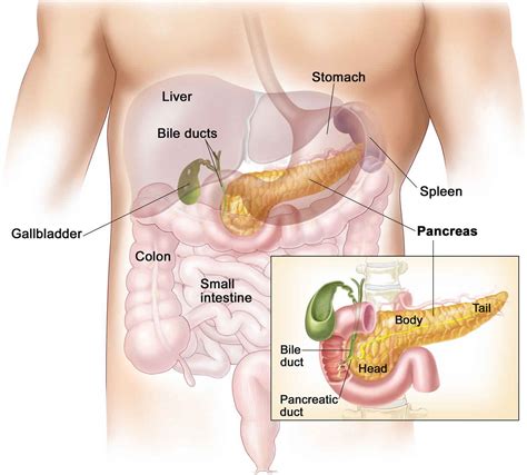 Zollinger Ellison syndrome, signs, symptoms, causes, diagnosis, treatment & prognosis