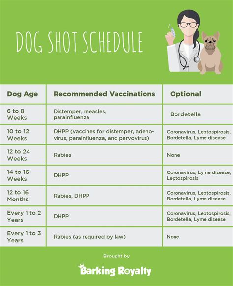 Puppy Shot Schedule Printable - FreePrintableTM.com | FreePrintableTM.com