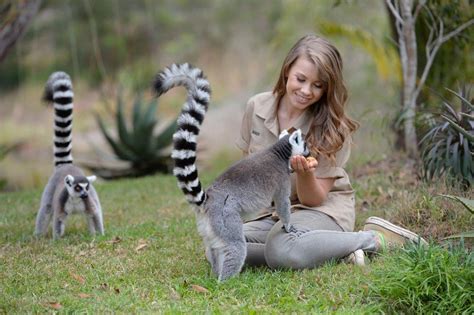 Australia Zoo - Byron Visitor Centre