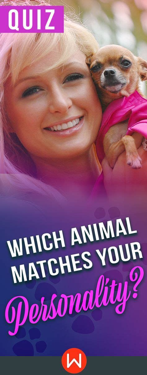 Which Animal Matches Your Personality? | Personality quizzes buzzfeed, Fun personality quizzes ...