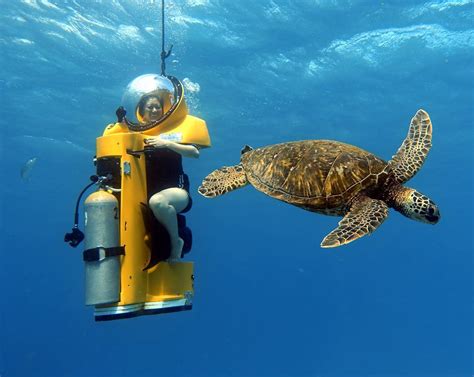 Island Water Sports Hawaii - A Unique Underwater Experience