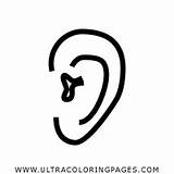 Ear Throat Nose Coloring Sheets sketch template
