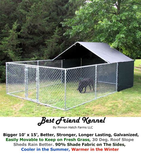 Can Dogs Live In Outdoor Kennels