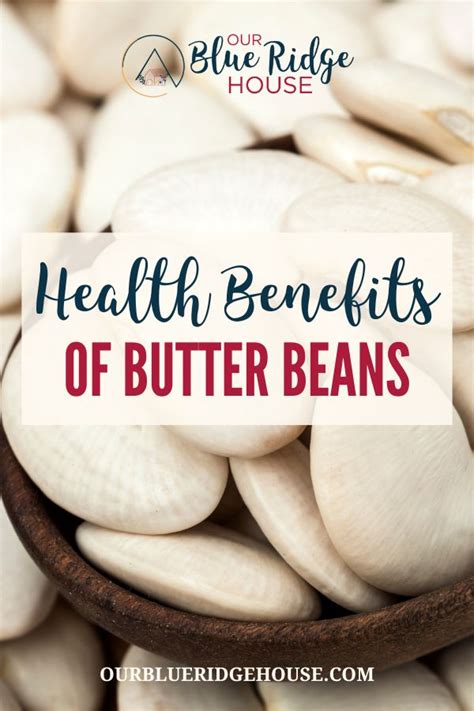 Health Benefits of Butter Beans | The Good Nutrition Facts - Our Blue ...