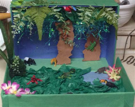 Rainforest Habitat Diorama Printable Images