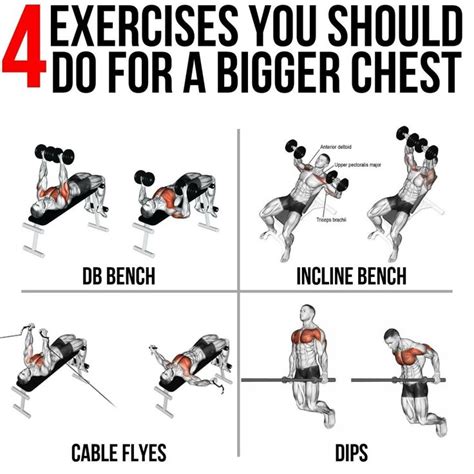 4 Exercises For Bigger Chest | Chest workout for mass, Chest workout ...